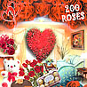 Room Full of Roses