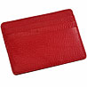 Credit Card Holder